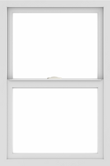 WDMA 24x36 (23.5 x 35.5 inch) Vinyl uPVC White Single Hung Double Hung Window without Grids Interior