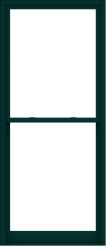 WDMA 44x102 (43.5 x 101.5 inch)  Aluminum Single Hung Double Hung Window without Grids-5