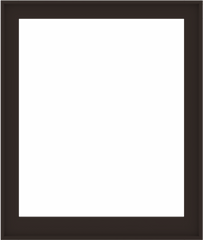 WDMA 44x52 (43.5 x 51.5 inch) Composite Wood Aluminum-Clad Picture Window without Grids-6