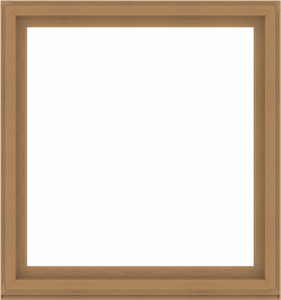 WDMA 60x64 (59.5 x 63.5 inch) Composite Wood Aluminum-Clad Picture Window without Grids-1