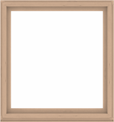 WDMA 60x64 (59.5 x 63.5 inch) Composite Wood Aluminum-Clad Picture Window without Grids-2