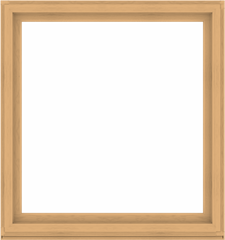 WDMA 60x64 (59.5 x 63.5 inch) Composite Wood Aluminum-Clad Picture Window without Grids-3