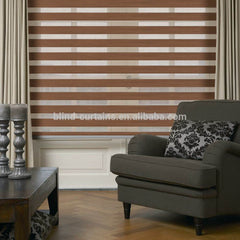 Blackout zebra blind/windows zebra blind