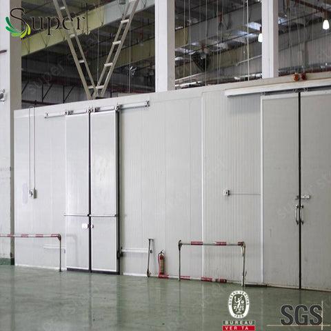 China supplier 100mm cold room hinged door with 0.8x1.8m on China WDMA