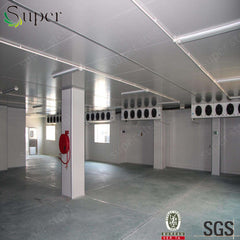 China supplier 100mm cold room hinged door with 0.8x1.8m on China WDMA