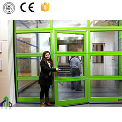 Electric glass garage doors with pedestrian door on China WDMA