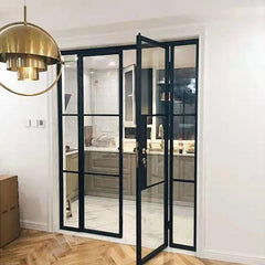 WDMA European style building carbon steel framed glass doors made with opaque glass