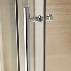 In Brushed Double Panel Curved Sliding Shower Door on China WDMA