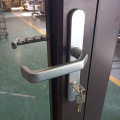 Roomeye aluminum exterior french door on China WDMA