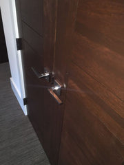 WDMA 48x96 Door (4ft by 8ft) Exterior Mahogany Flush Double Door Contemporary Design 4
